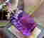 item-129201827=3