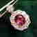 item-131409996=8