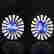 item-131550008=7