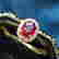 item-135940953=5