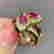 item-136268606=7