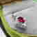 item-136604804=5