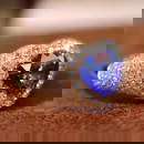 14k Gold 2.38 Ctw Natural Sapphire & Diamond Ring