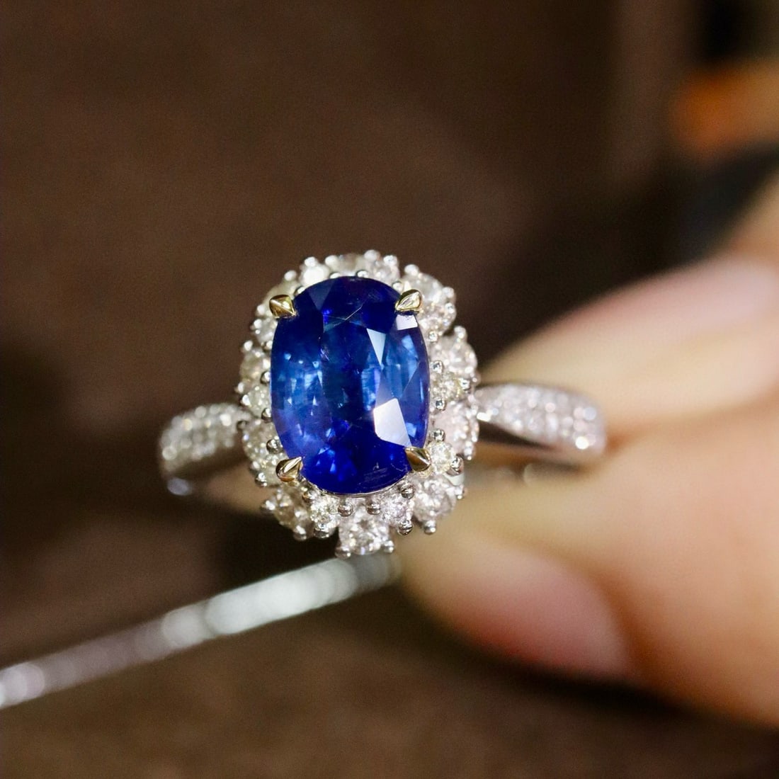 14k Gold 2.50 Ctw Natural Sapphire & Diamond Ring - 5