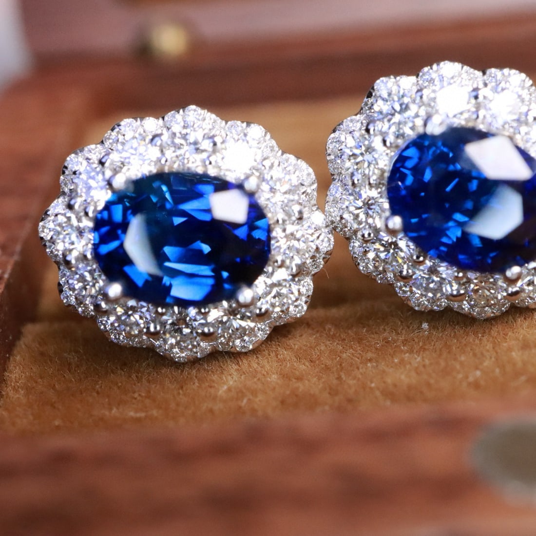 14k Gold 4.23 Ctw Natural Sapphire & Diamond Earrings - 7