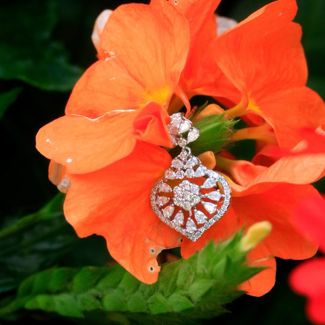 14k Gold 2 Ct Natural H Diamond Earrings - 6
