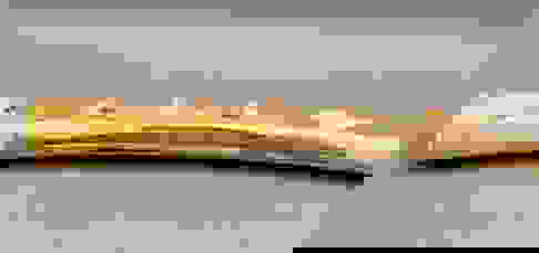 Fossilized Ivory Walrus Tusk Cribbage Board Auction