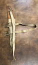 Apache Old Bow With Arrows And Quiver From The Harvey Collection