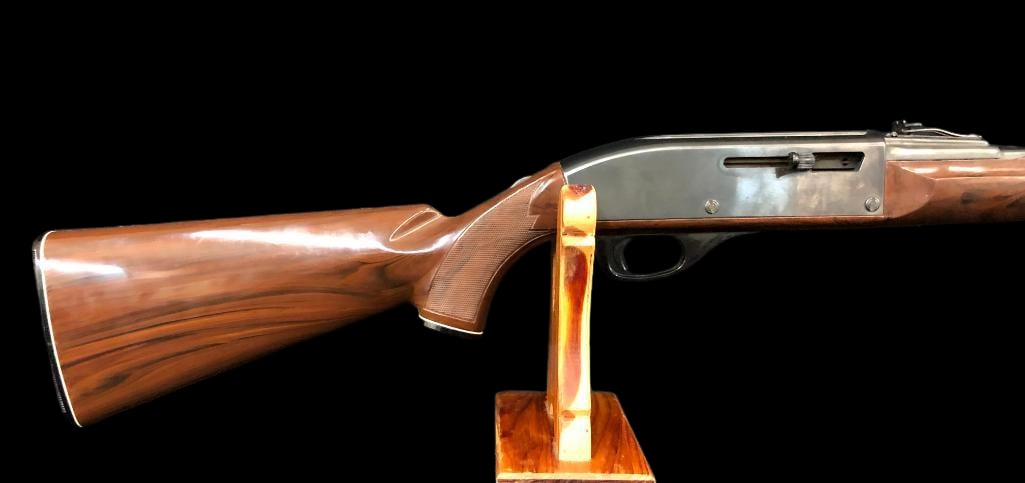 Remington Nylon 66: For your bidding pleasure is a Remington Nylon 66 chambered in .22LR. This firearm comes with a plastic stock with some minor scratches. The frame, barrel, and magazine tube are in good condition. The