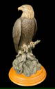 Bronze Eagle Sculpture "Lone Sentinel" By Mike Curtis