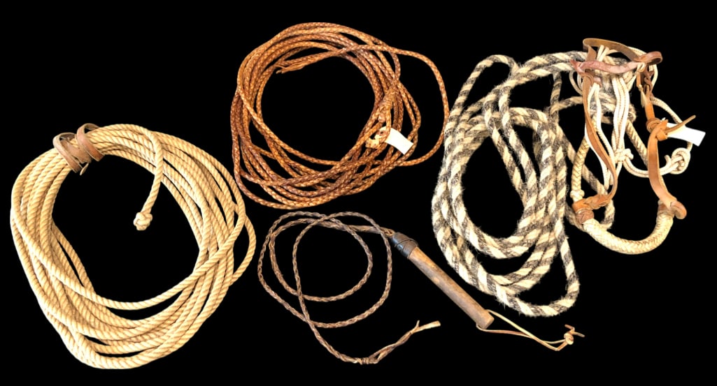 Group Of Two Ropes, a Bosal And Whip (1 of 9)