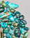 item-209906583=6