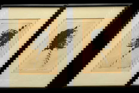 Two Antique Native American Etchings By Lyman Byxbe: Offered for your purchase here are two antique Native American etchings by Lyman Byxbe, one entitled &#34;Cheyenne&#34; and one entitled &#34;Sioux&#34;. These etchings are framed in black frames and