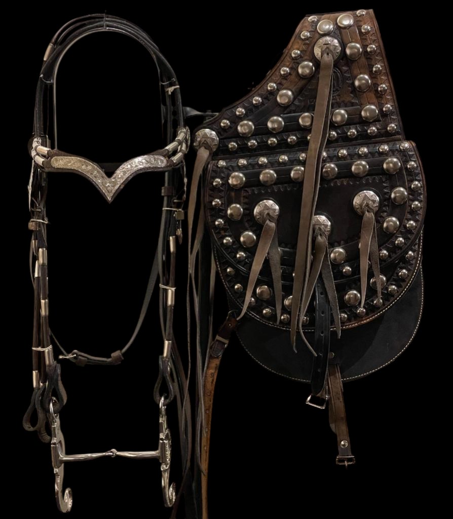 Hayles Made Spotted Saddle Bags And Show Bridle With Gist Bit: Offered here for your consideration are a pair of Hayles made spotted saddle bags and a show bridle with Gist bit. The saddle bags feature silver tone studs and tooled leather designs. The fancy