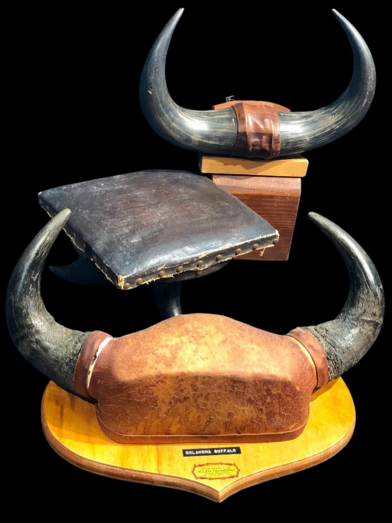 Antique Buffalo Horn Footstool And Racks (1 of 18)