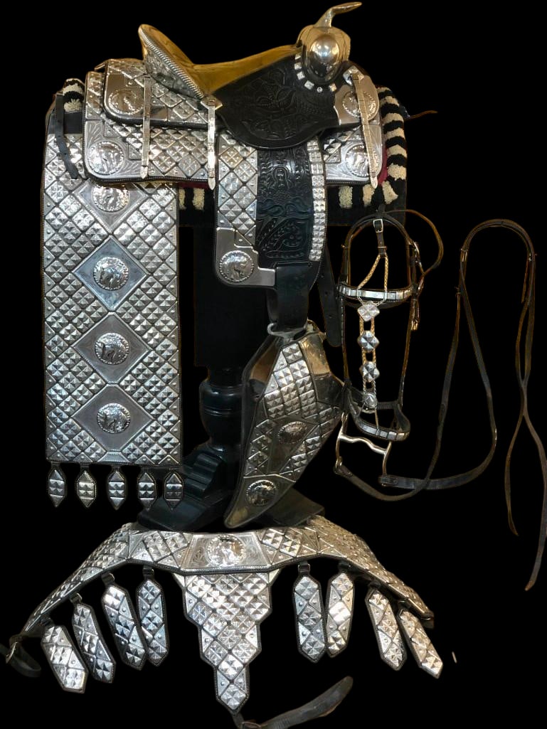 Vintage Ted Flowers Deluxe Parade Saddle With Serape, Bridle, Etc.: Offered here for your consideration is a fancy Ted Flowers parade saddle with a serape, breast collar, bridle, and corona pad. This saddle features flashy Monel silver embellishments and represents on