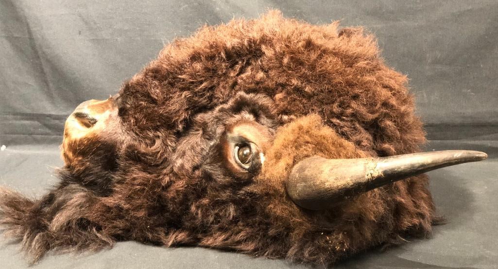 Buffalo Head Wall Mount - 9