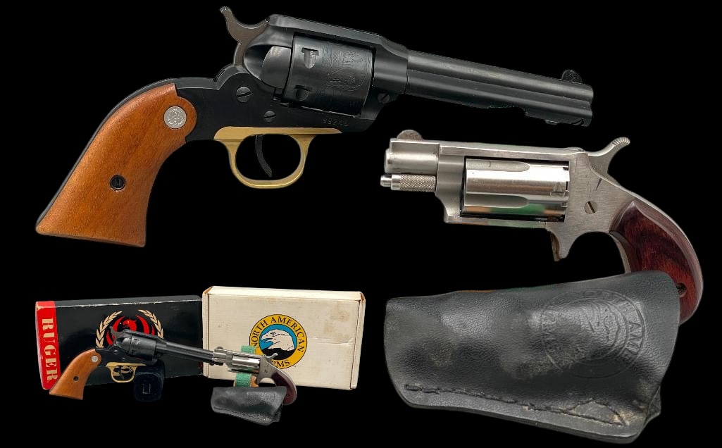 Sturm Ruger .22 Caliber And North American Arms .22 Magnum Black Widow With Boxes (1 of 20)
