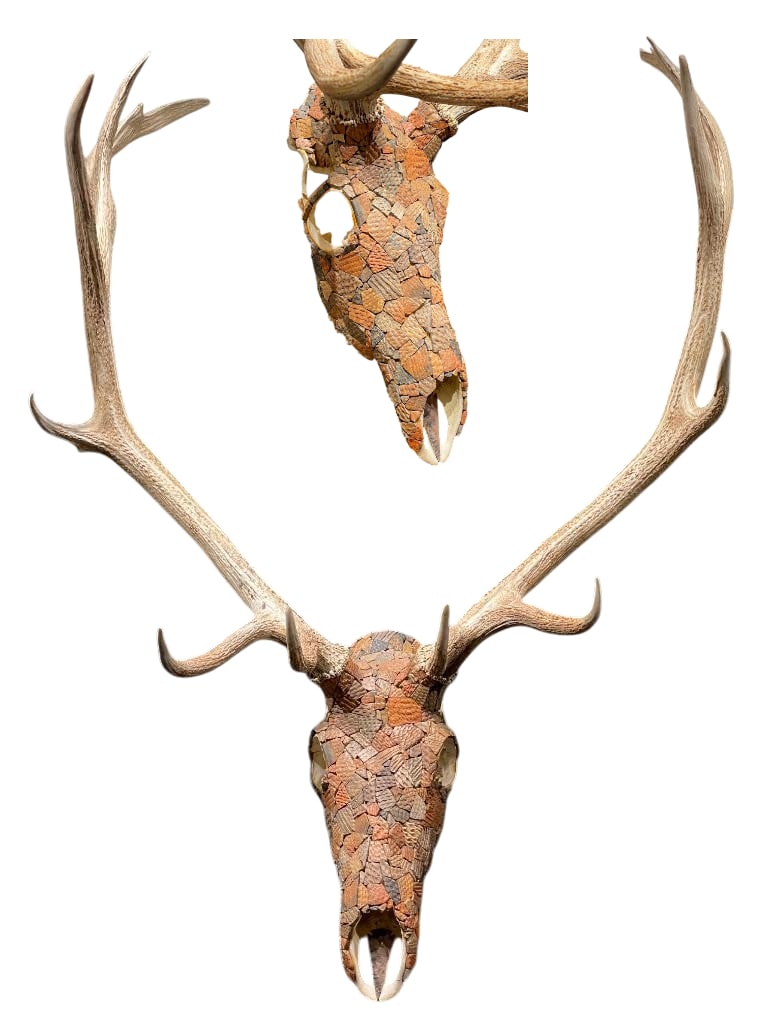Elk Head With Pottery Sherd Mosaic Design: Offered here for your consideration is an elk head with pottery sherd mosaic design. This piece features an antlered elk skull covered with numerous prehistoric and historic pottery fragments arranged