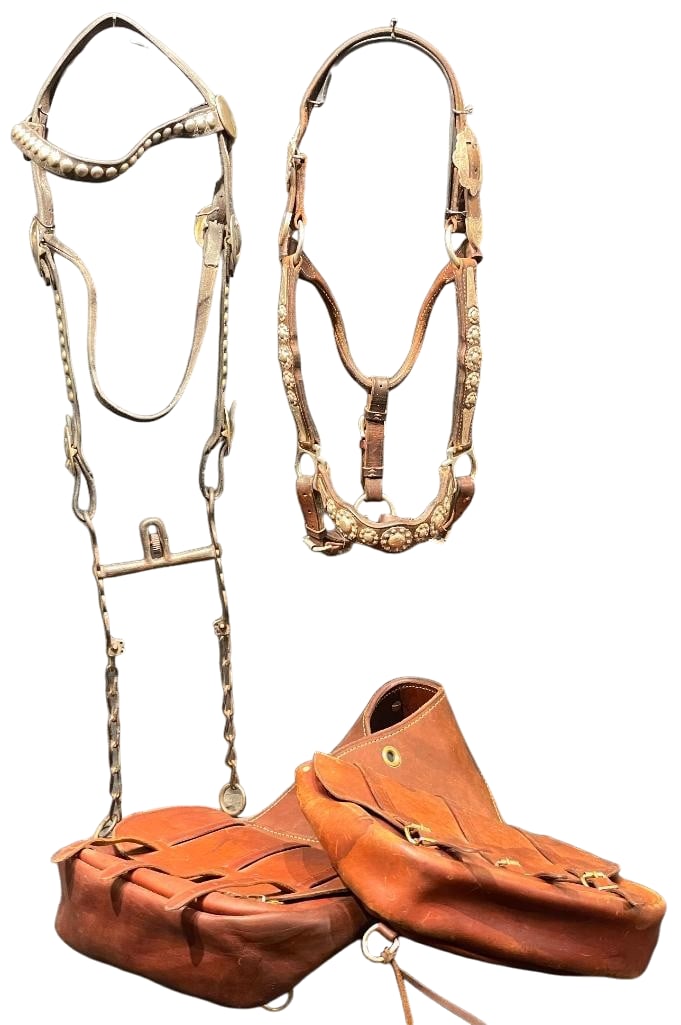 Nice Show Halter, Vintage Spotted Bridal and Pair of Leather Saddlebags