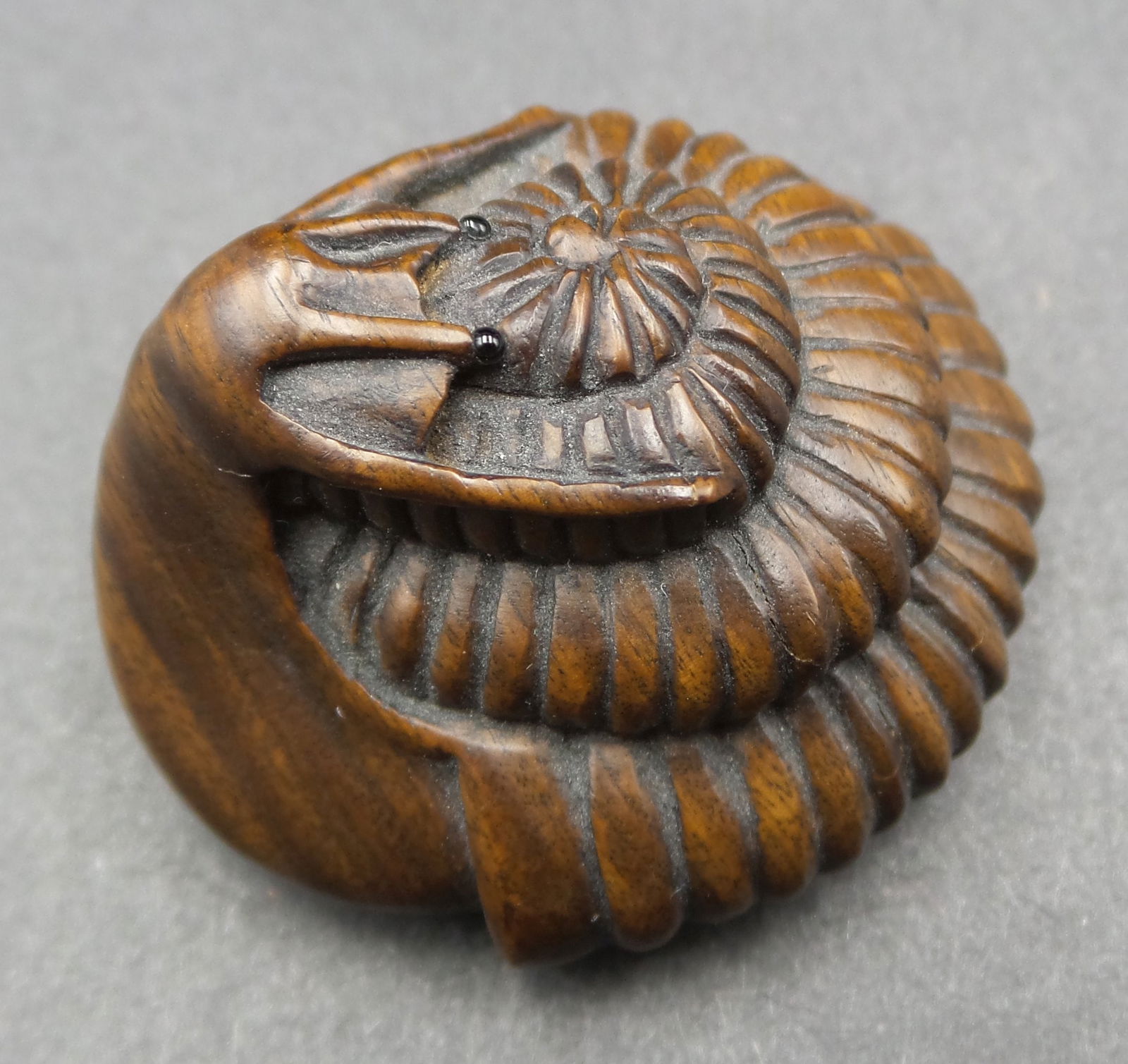 Antique ca. 1900 Hand Carved Wood Japanese Snail Netsuke - Signed (1 of 5)