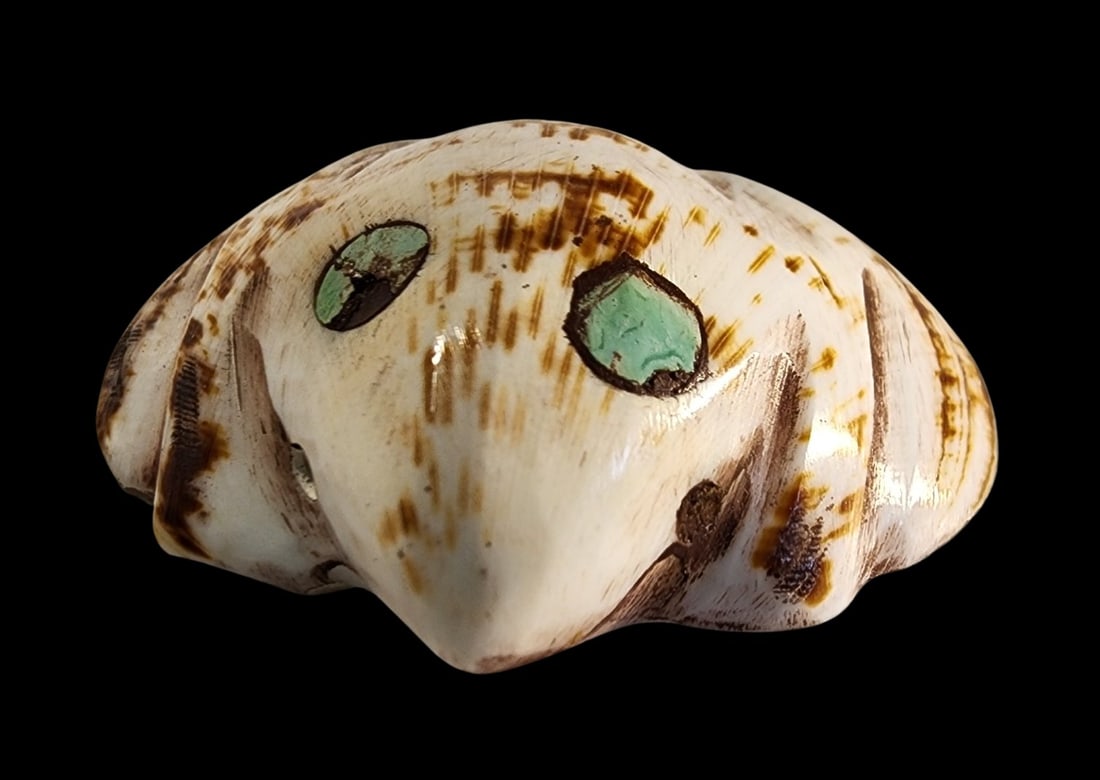 Antique Early 1800s Arapaho Native American Shell /w Hand Carved Turquoise Eyes (1 of 3)