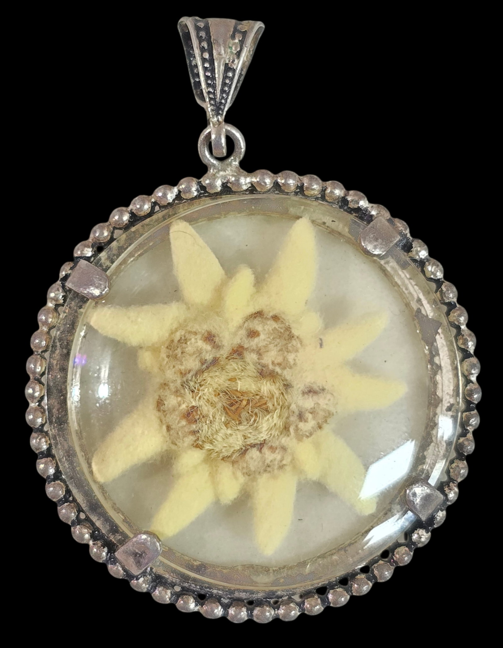 Very Rare Vintage European Alpine 800 Silver Locket /w Genuine Edelweiss Flower: Beautiful piece featuring a genuine Alpine Edelweiss flower set in an ornate silver frame behind glass. Measures approx. 1" in diameter and weighs ca. 4.5 grams. Tested for a minimum of 800 (80%) silv