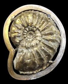 Vintage European 835 Silver Ammonite Shell Fossil Brooch
