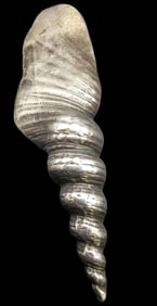 Stylish Vintage Sterling Silver Sea Shell Brooch