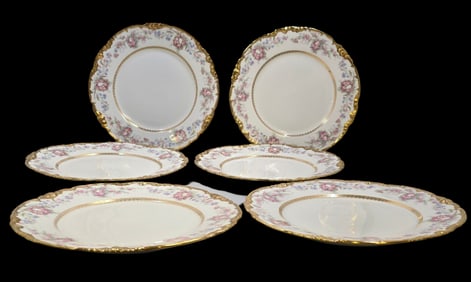 Set of 6 LIMOGES France Porcelain Plates /w Floral Design