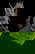 item-208834738=7