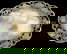 item-209577770=4
