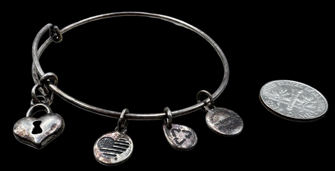 Vintage ALEX & ANI Silver Metal Charm Bracelet (1 of 4)