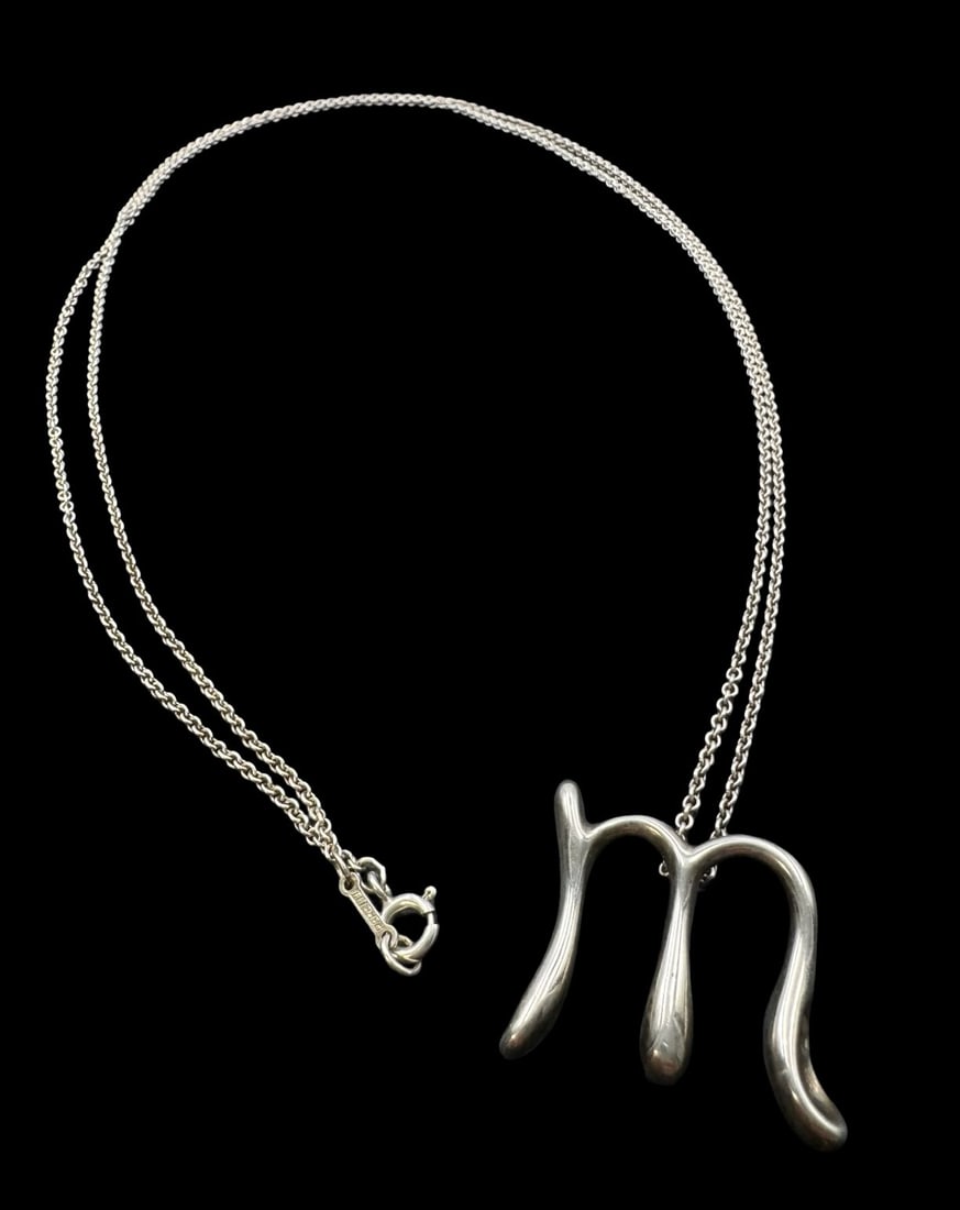 Vintage TIFFANY & CO Elsa Peretti Sterling Silver Necklace /w Pendant Charm (1 of 4)