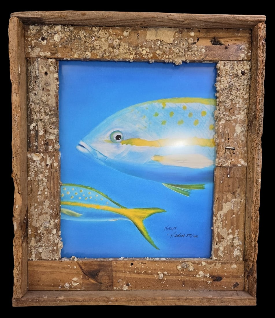 Vintage Limited Edition Reef Fish Print in Unusual Lobster Trap Wood Frame (1 of 6)