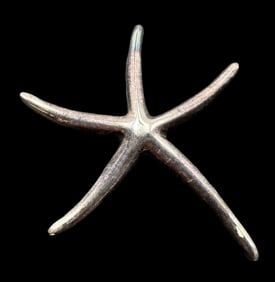 Vintage TIFFANY & CO Paloma Picasso Sterling Silver Starfish Pendant