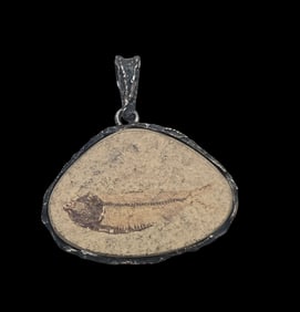 Unusual Vintage Sterling Silver & Fish Fossil Pendant
