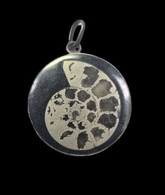 Vintage Sterling Silver & Ammonite Fossil Pendant