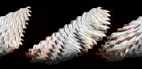 Beautiful Vintage CHRISTIAN DIOR Sterling Silver Designer Clip Earrings: Very good vintage condition with minor patina according to age. Each measures approx. 1 3/8" long and 1 3/8" wide and they jointly weigh ca. 16.3 grams. Marked for Sterling Silver & CHRISTIAN DIOR. SH