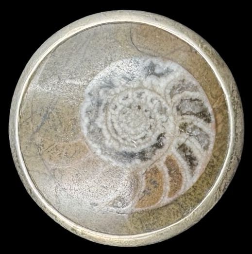 Gorgeous Vintage PINK CITY 950 Silver & Ammonite Fossil Designer Ring: Very good vintage condition with minor patina according to age. Measures approx. 1 1/8" in diameter and weighs ca. 21.6 grams. The ring is a size 7. Marked for 950 Silver & Designer PINK CITY