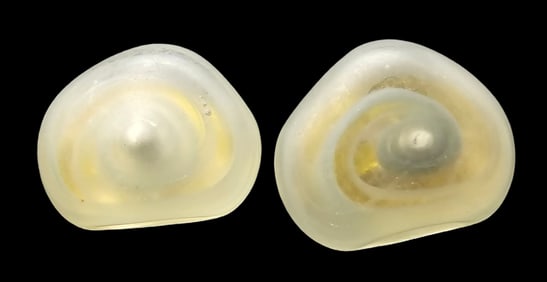 Very Unusual Vintage Goldtone Metal & Frosted Art Glass Costume Jewelry Earrings