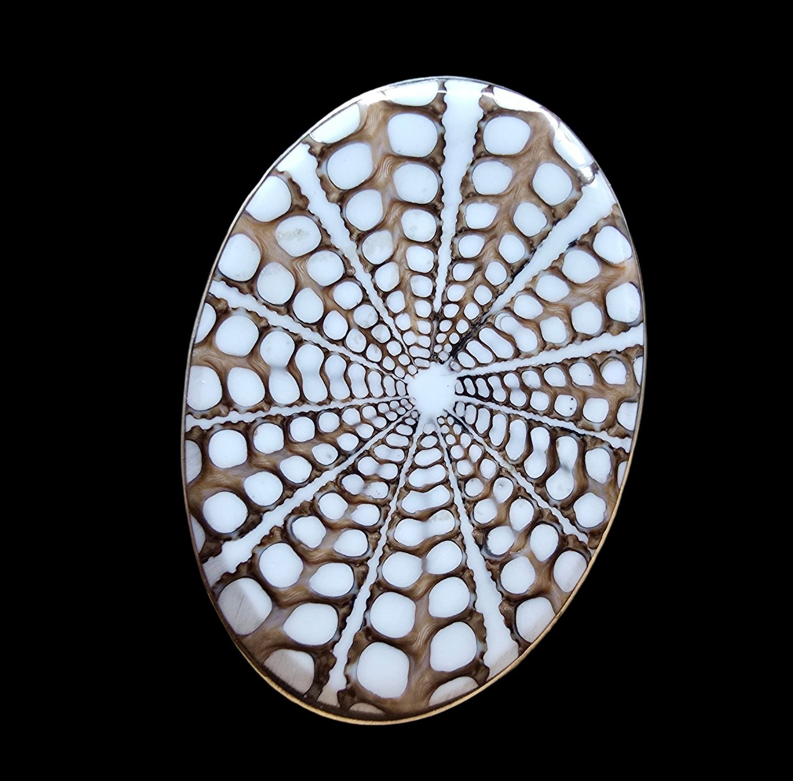 Unusual Vintage Oval DUR Sterling Silver & Patterned Shell Coktail Ring: Very good vintage condition with minor patina according to age. Measures approx. 1/2" wide and weighs ca. 6 grams. The ring is a size 9. Marked for Sterling Silver & Dur Designer.