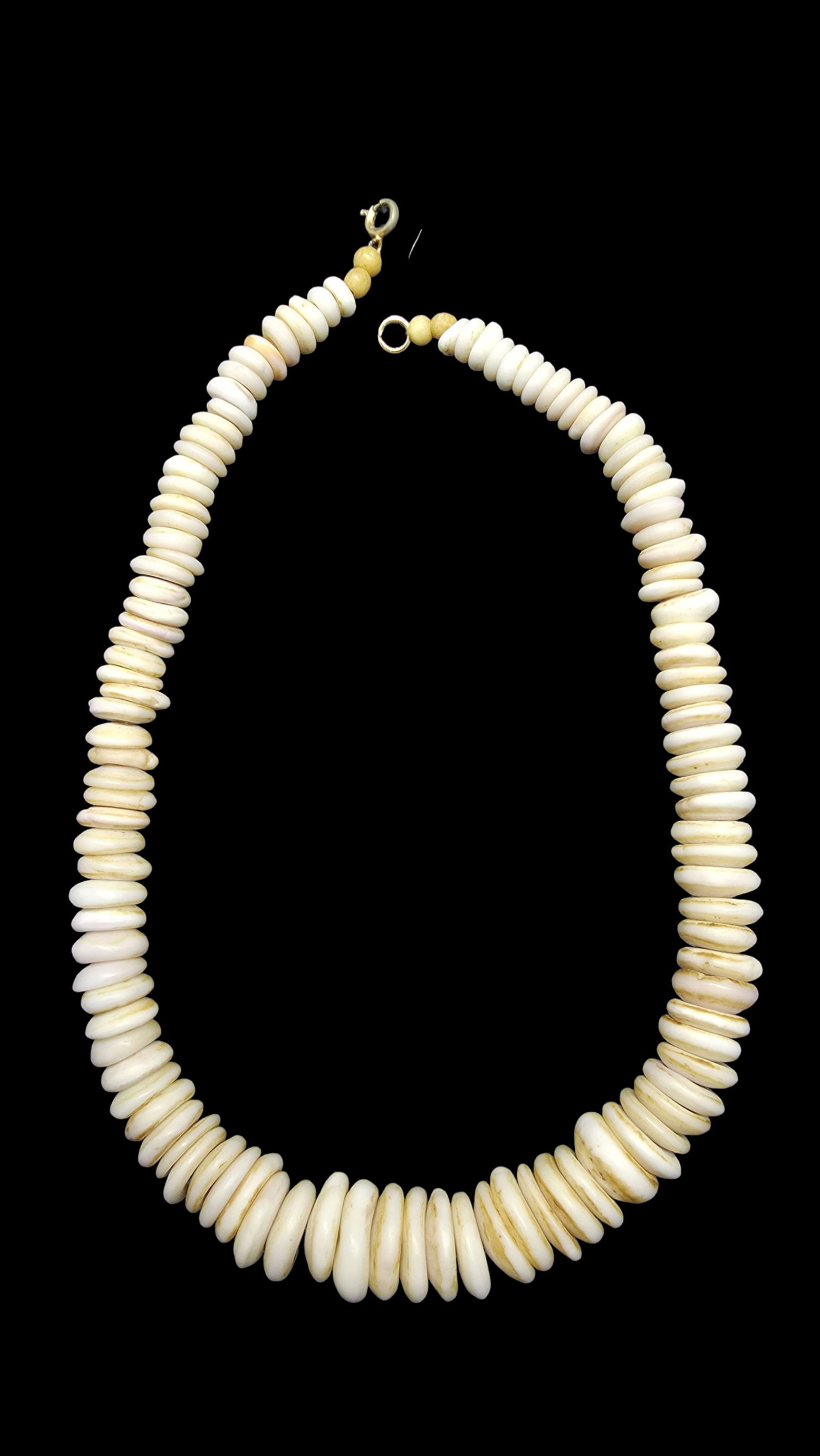 Gorgeous Vintage 1960s Hawaiian Puka Shell Surfer Necklace (1 of 4)