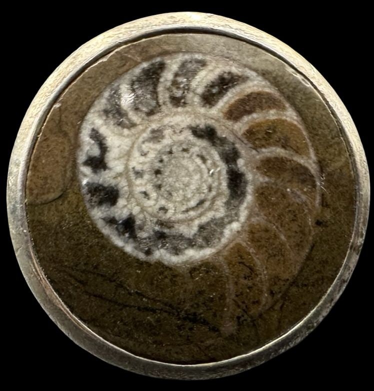 Gorgeous Vintage PINK CITY 950 Silver & Ammonite Fossil Designer Ring: Very good vintage condition with minor patina according to age. Measures approx. 1 1/8" in diameter and weighs ca. 21.6 grams. The ring is a size 7. Marked for 950 Silver & Designer PINK CITY