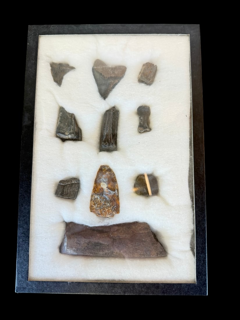 Collection of Genuine Pre-Historic Artifacts and Fossils: Very good vintage condition with minor patina according to age. Box measures approx. 12" long x 8" wide x 1" high.