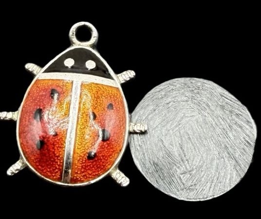 Gorgeous Ornate Vintage WELLS Sterling Silver & Guilloche Enamel Women's bug Pendant Charm: Good vintage condition w/ patina and wear according to age and use, see pictures. Measures approx. 1/2" long and 1/2" wide and weighs ca. 2.8 grams. Marked Sterling Silver & WELLS