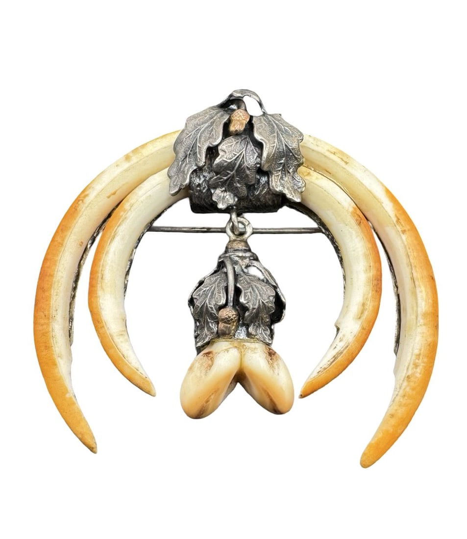 Rare Vintage Central Austrian 835 Silver Animal Teeth Alpine Hunting Trophy Brooch: Very good vintage condition with minor patina according to age. Measures approx. 2" long x 2 2/8" wide. Weighs ca. 23 grams. Marked for 835 Silver.