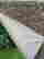 item-133391691=6