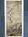 item-131706585=2