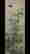 item-131706594=2
